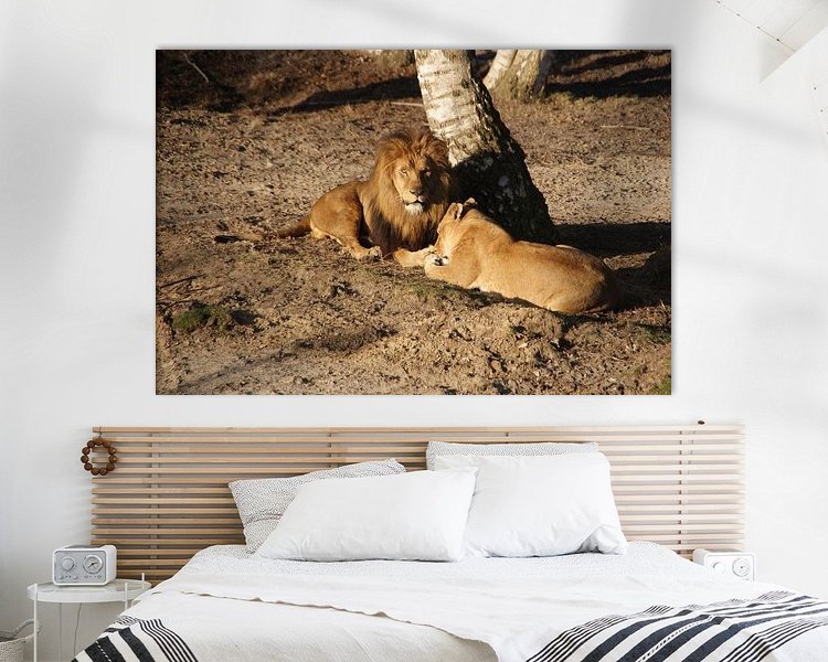 Aperçu de la chambre