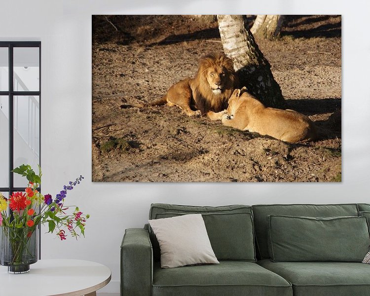 Aperçu de la chambre