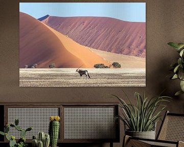 Eenzame oryx bij Hiddenvlei (Namibië). van Kees Kroon