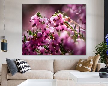 Roze bloemen met bokeh van Bild.Konserve