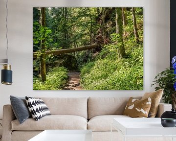 Schindergraben, Suisse saxonne - Sentier forestier menant à la vallée de la Polenz sur Pixelwerk