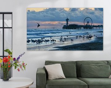 Seagulls at the beach in Scheveningen by Michel De Man