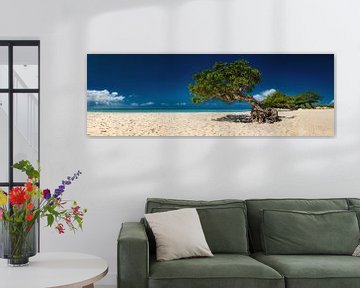 Prachtig gegroeide boom op het strand op het eiland Aruba in het Caribisch gebied. van Voss Fine Art Fotografie
