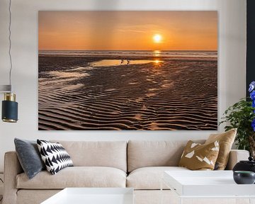 Gulls on the beach during sunset by Dafne Vos