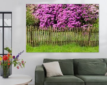 Tuinhek en rododendron bloesem, Bad Zwischenahn van Torsten Krüger