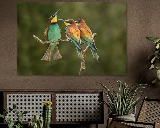 Aperçu de la chambre