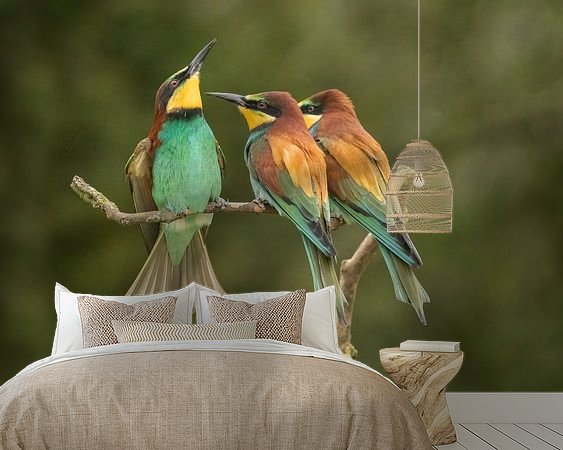 Aperçu de la chambre