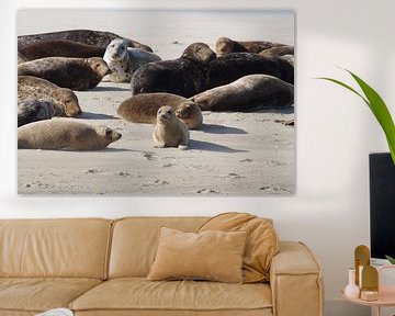 Seals on the Terschelling sandbank by Maurits Bredius