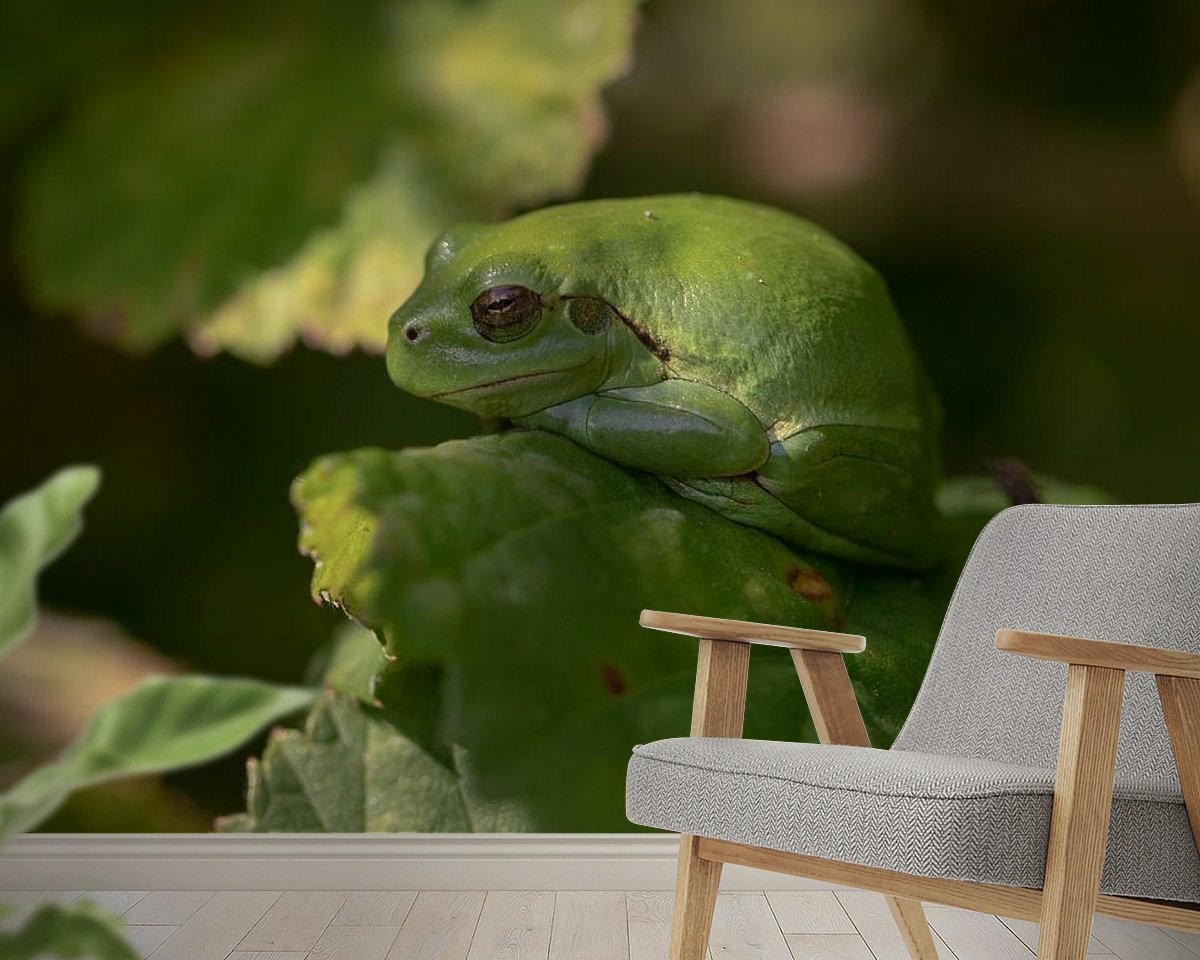 Raumvorschau