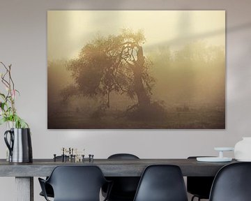 Eucalyptusboom in de ochtendmist van Werner Lehmann