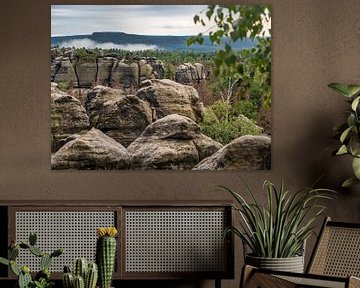 Carola rotsen in Saksisch Zwitserland - verweerd rotslandschap van Pixelwerk