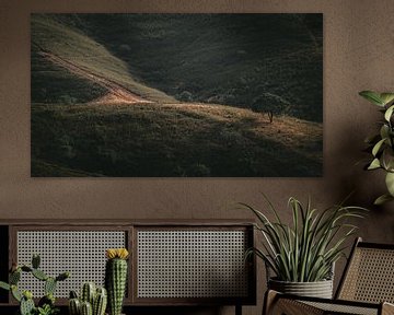 Lonely tree in the Portuguese serra by Bart Hageman Photography