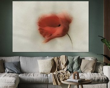 poppy in the wind sur Yvonne Blokland