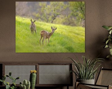 "Rehe auf einer Waldlichtung" von Madleen Sophie