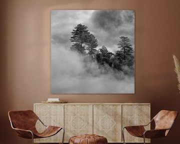 Arbres dans un brouillard dû au fonctionnement d'un geyser sur Deem Vermeulen