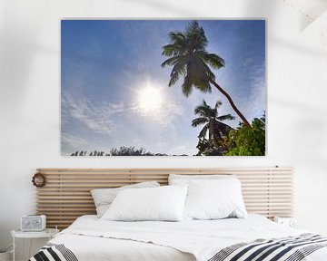 Tropische palmbomen op het strand in het paradijs op de Seychellen van MPfoto71