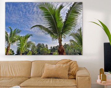 Tropische Palmen am Strand im Paradies auf den Seychellen von MPfoto71
