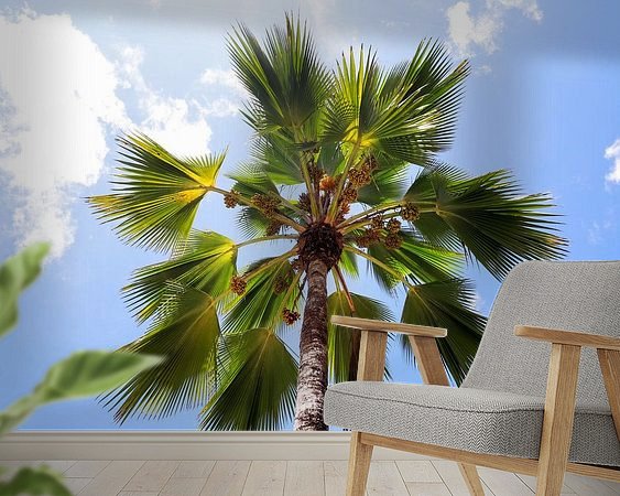 Raumvorschau