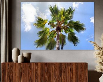 Tropische palmbomen op het strand in het paradijs op de Seychellen van MPfoto71