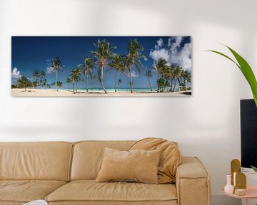 Strand met palmbomen in de Dominicaanse Republiek / Caribisch gebied. van Voss Fine Art Fotografie
