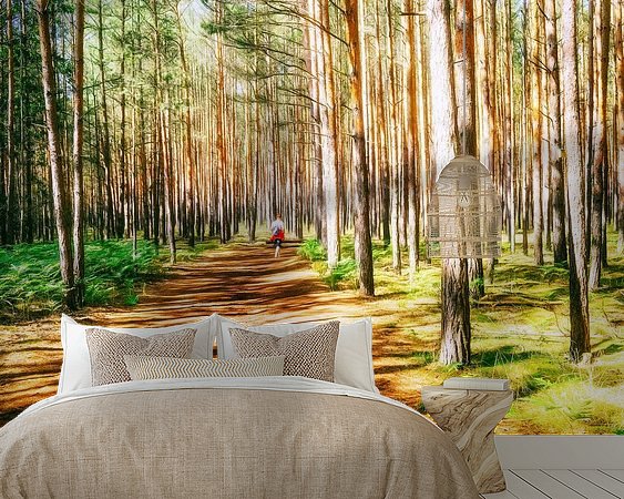 Aperçu de la chambre