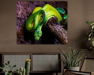 Green tree python snake by ManfredFotos