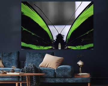 Butterfly (green) van Nick Rosseel
