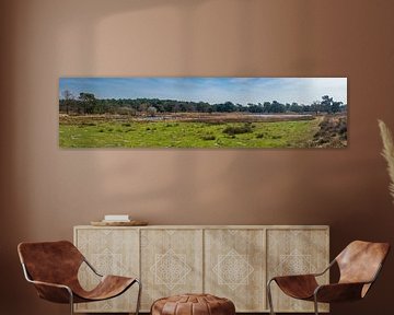 Panorama foto van het natuurreservaat Het Quin van Kristof Leffelaer