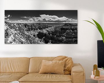 Le Grand Canyon en noir et blanc sur Henk Meijer Photography