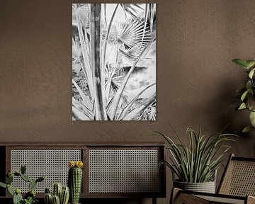 Palm zwart wit, bewerking solarisatie - Bonaire van Marly De Kok
