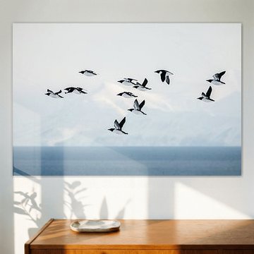 Vliegende Kortbekzeekoeten boven zee van Martijn Smeets