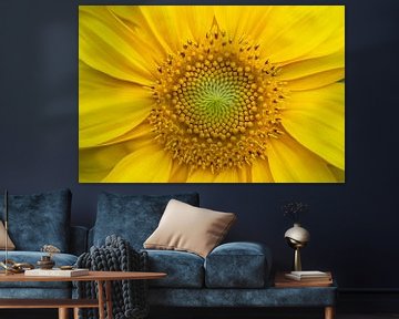 Sonnenblume Detail von Tanja van Beuningen
