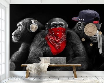 Three wise monkeys