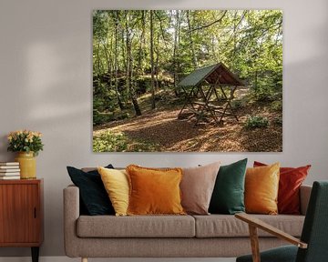 Kohlberg, Saxon Switzerland - Bench in birch forest by Pixelwerk