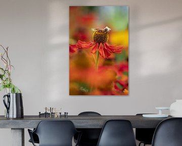 Bijenportret in rode bloemenzee van Marianne Eggink