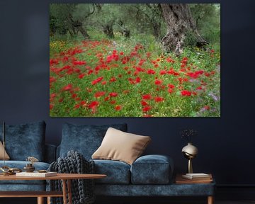 Olives and poppies by jowan iven