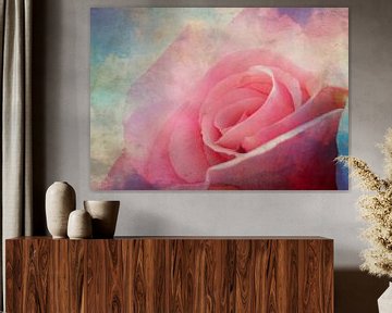 Delicate pink rose by Roswitha Lorz