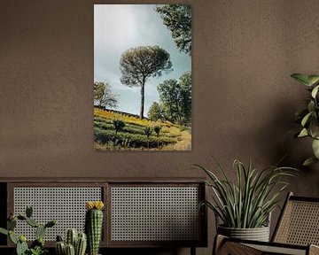 FILM LOOK single tree by Matthias Verfaille