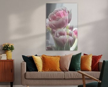 Pioen tulp roze en wit van Art by Janine