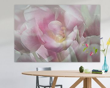Pioen tulp roze en wit  van Art by Janine