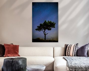 Un arbre emblématique sous un ciel étoilé