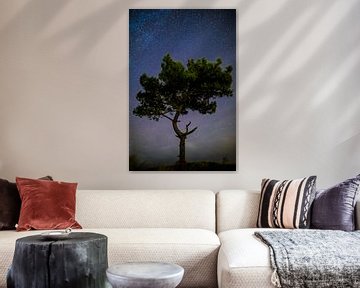Iconische boom onder sterrenhemel van Maurice Haak
