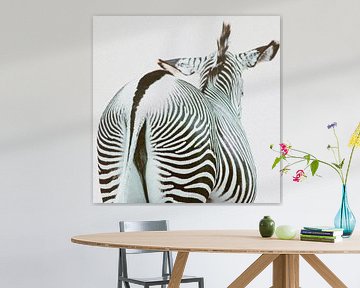 Zicht op een zebra van swc07