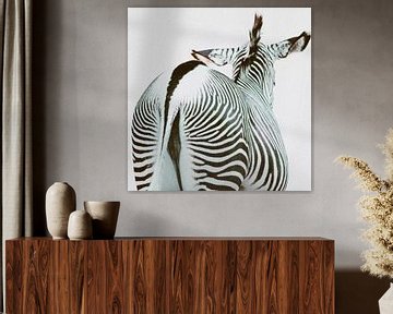 Zebra view by swc07