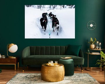 Dogs pull sled through deep snow by Martijn Smeets