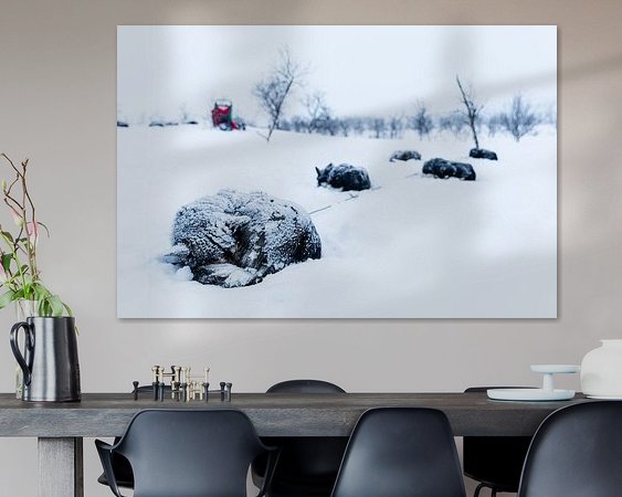 Voorbeeld van het werk in een kamer