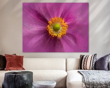 Magenta anemone by Rogier Droogsma