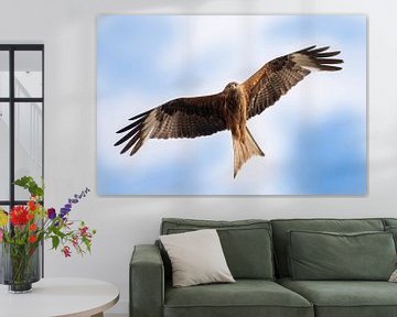 red kite in flight in the sky by Mario Plechaty Photography