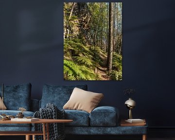 Königsweg, Saxon Switzerland - Forest path at Wartburg by Pixelwerk