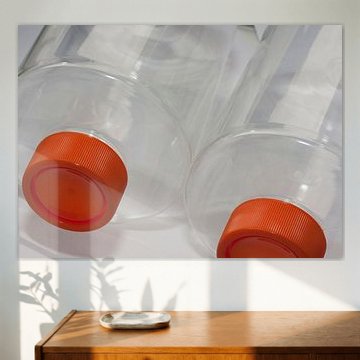 Roller flessen voor weefselkweek van noeky1980 photography